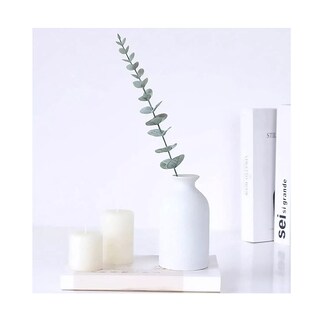 Foto 4 | 40 Piezas Tallos De Eucalipto Decoración Hojas Artificiales Belug, Verde