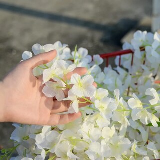 Foto 3 | 5 Guirnalda De Glicinias Artificial Belug Follaje +bridas Blanco Verde