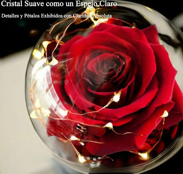Foto 3 pulgar | Xtellar Rosa Eterna Led, Regalo Perfecto Para El Día De La Madre Con Encanto De La Bella Y La Bestia