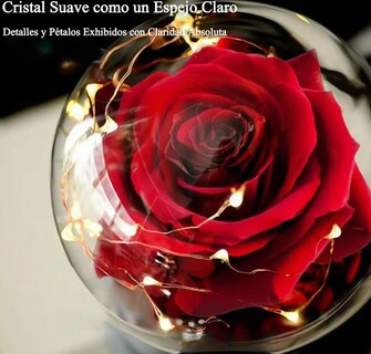 Foto 2 | Xtellar Rosa Eterna Led, Regalo Perfecto Para El Día De La Madre Con Encanto De La Bella Y La Bestia
