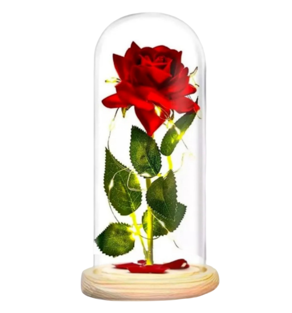 Foto 1 | Xtellar Eterna Rosa Roja-el Regalo Perfecto Para Ella
