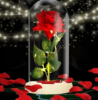 Foto 2 | Xtellar Eterna Rosa Roja-el Regalo Perfecto Para Ella