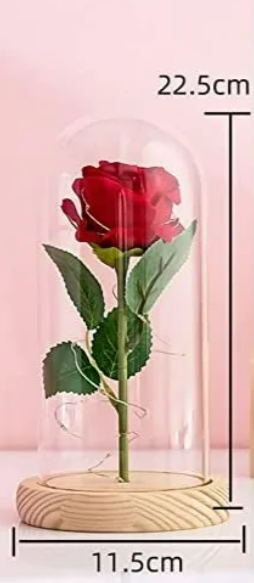 Foto 5 pulgar | Xtellar Eterna Rosa Roja-el Regalo Perfecto Para Ella