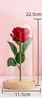 Foto 4 | Xtellar Eterna Rosa Roja-el Regalo Perfecto Para Ella