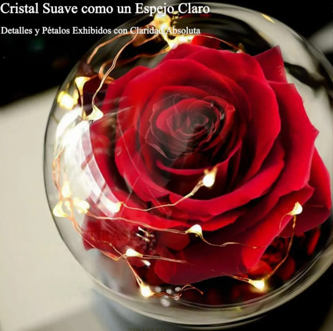 Foto 3 pulgar | Xtellar Día De La Madre, Rosa Eterna Bañada En Oro Con Luces Led, Regalo Perfecto Para Ella