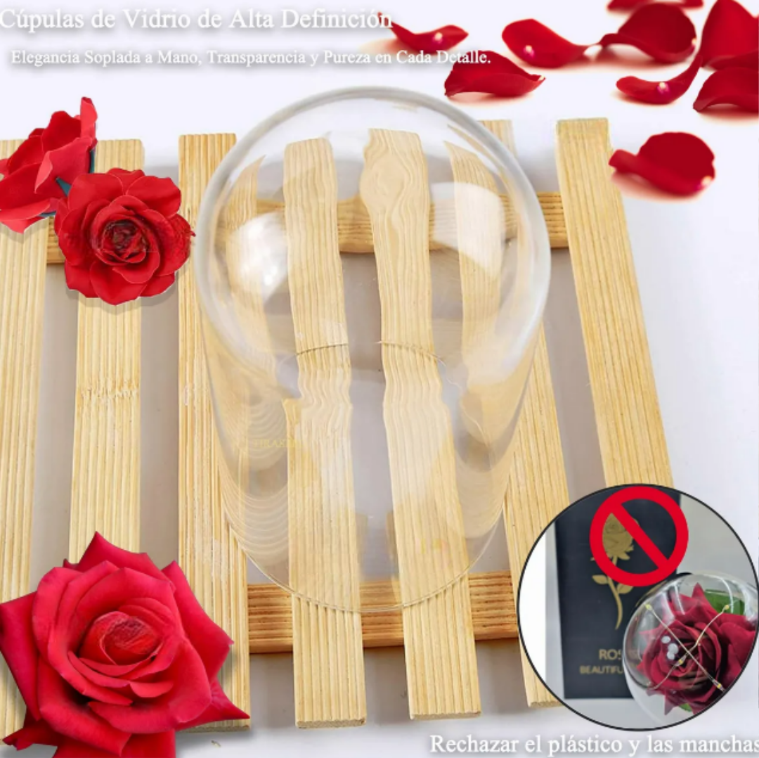 Foto 4 | Xtellar Día De La Madre, Rosa Eterna Bañada En Oro Con Luces Led, Regalo Perfecto Para Ella
