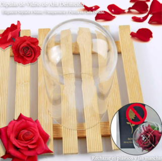 Foto 4 | Xtellar Día De La Madre, Rosa Eterna Bañada En Oro Con Luces Led, Regalo Perfecto Para Ella