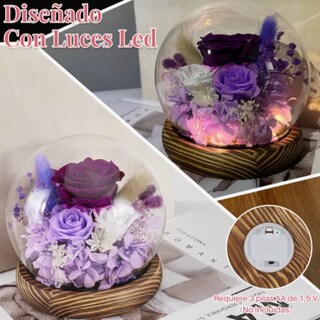 Foto 2 | Flor Xtellar Eterna Rosas Caja Con Collar Y Regalos Mujer Exquisita
