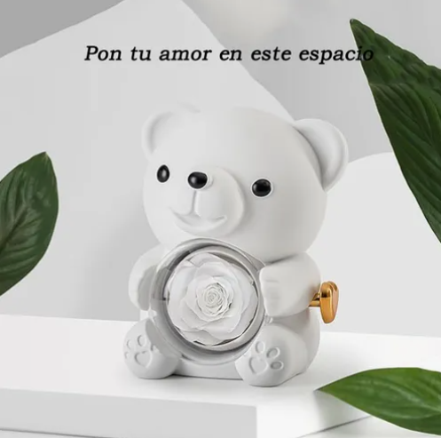 Foto 5 pulgar | Flores Xtellar Eternas Rotación Estuches Para Joyeria Oso Creativo