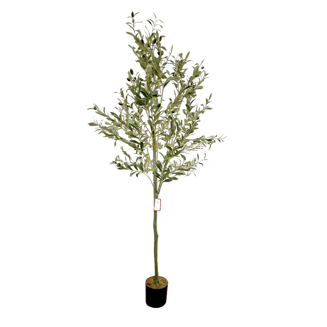 Árbol De Olivo Planta Artificial Realista 1.8m