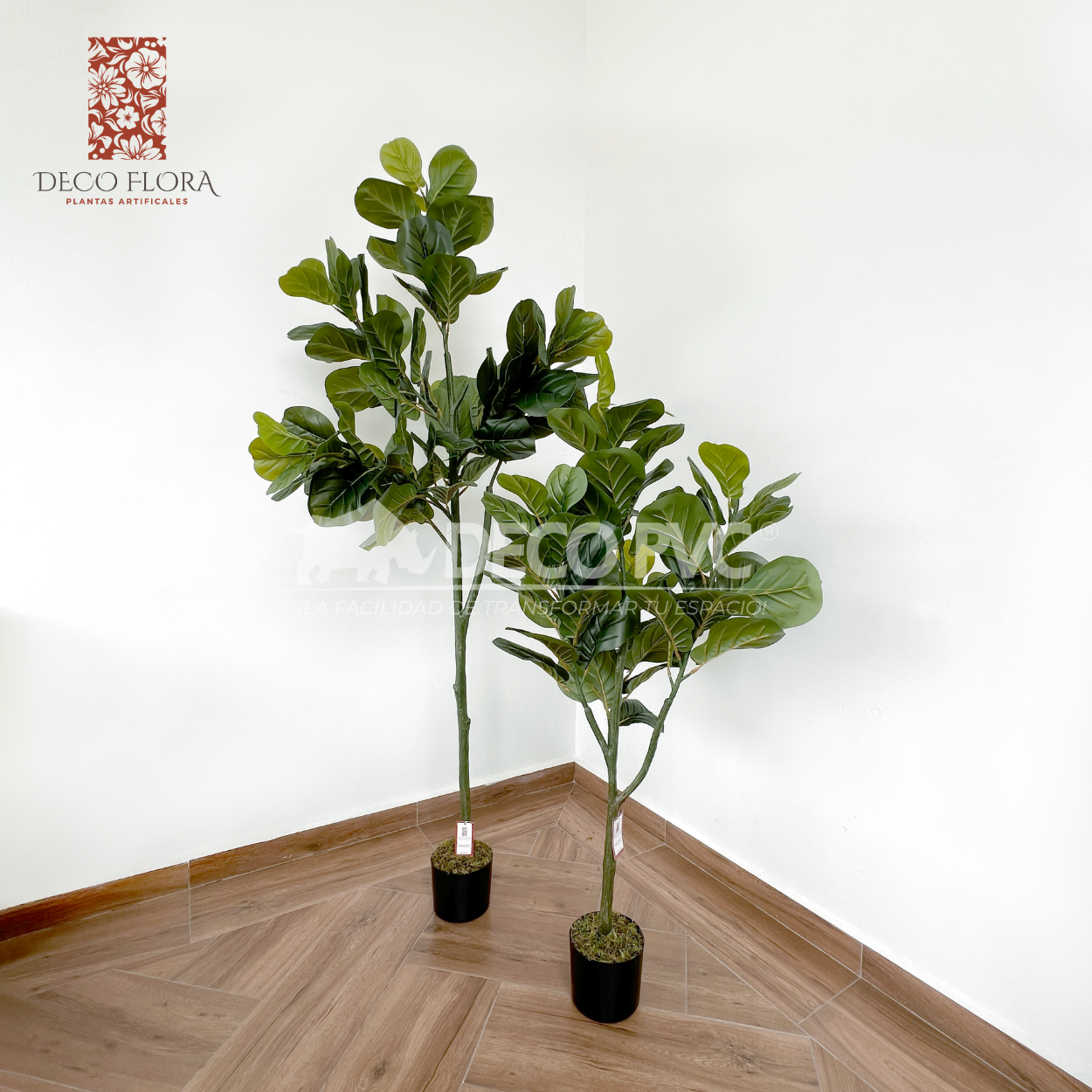 Foto 4 pulgar | Árbol De Pandurata Planta Artificial Realista 1.8m