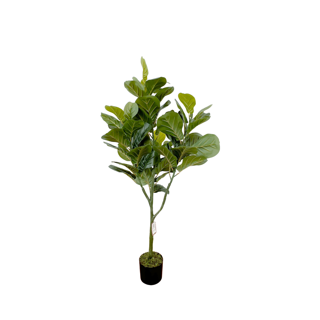 Planta Artificial Realista Árbol de Pandurata  1.2 m DecoArt