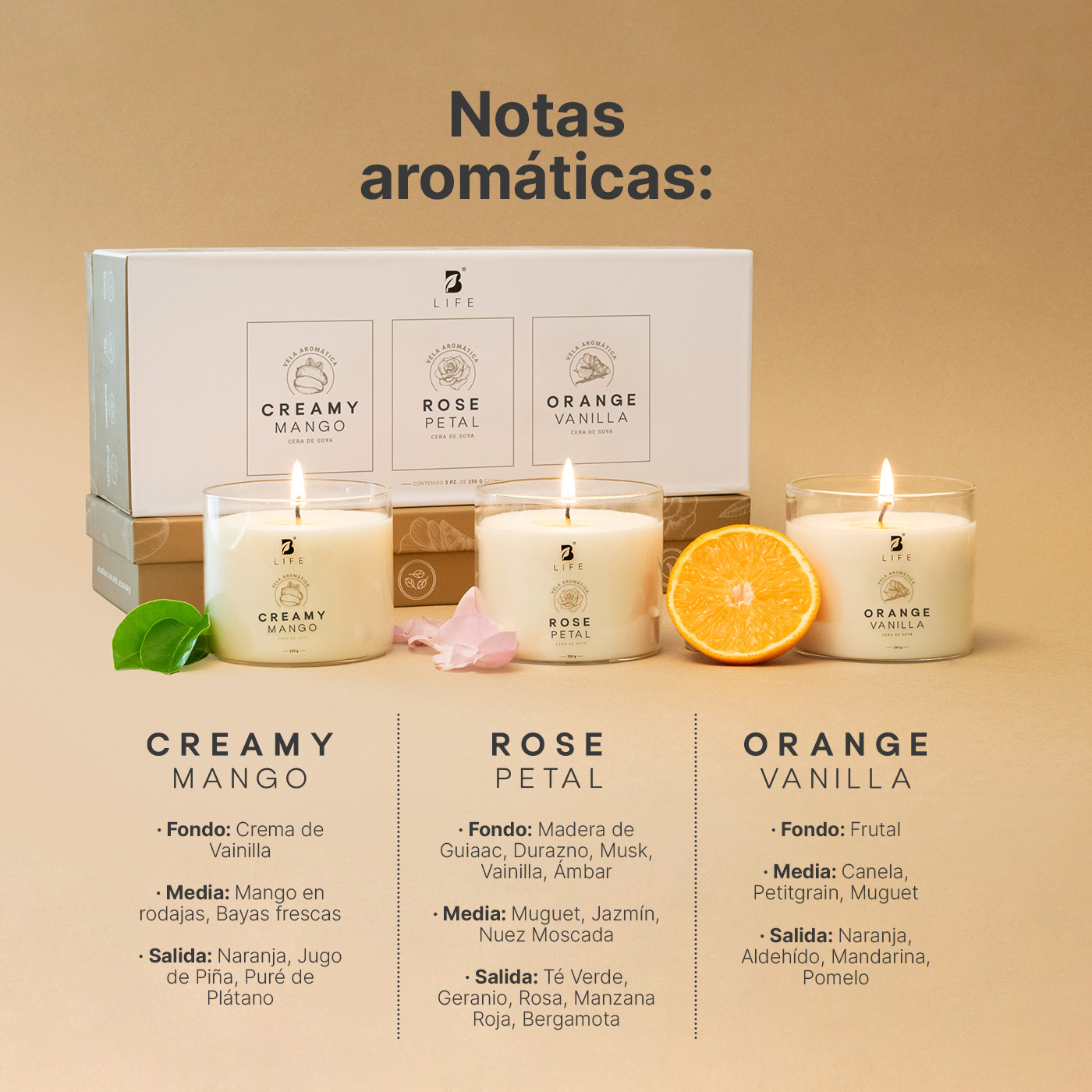 Foto 4 pulgar | Kit 3 Velas de Soya Summer Dreams B Life Fragancias Mango Rosa y Naranja Duración 50 Hrs