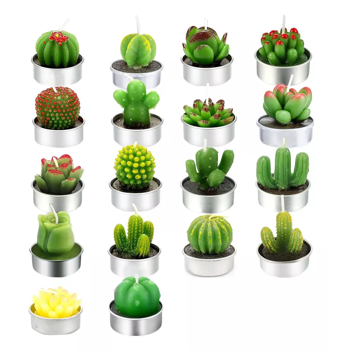 Foto 2 pulgar | Velas Aromaticas Decorativas Cactus Suculenta Eo Safe Imports 18 Piezas