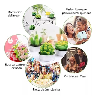 Foto 3 | Velas Aromaticas Decorativas Cactus Suculenta Eo Safe Imports 18 Piezas
