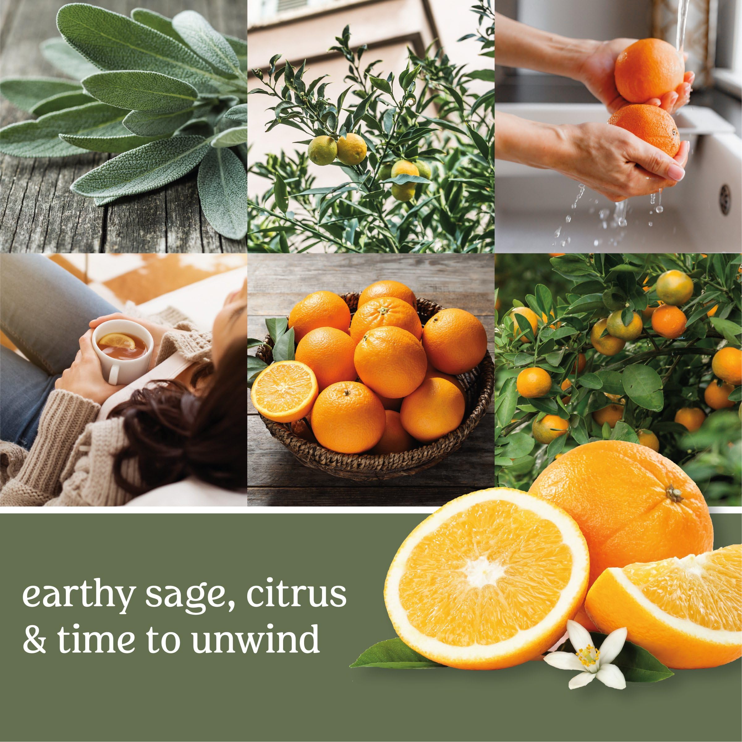 Foto 4 | Scentplug Refill Yankee Candle Sage & Citrus  18 Ml (paquete De 4) - Venta Internacional.