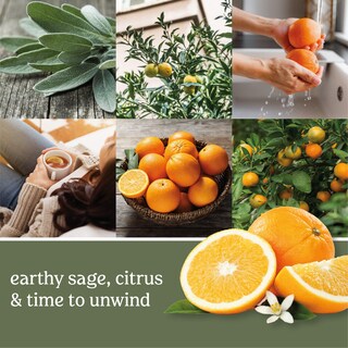 Foto 4 | Scentplug Refill Yankee Candle Sage & Citrus 18 Ml (paquete De 4) - Venta Internacional.