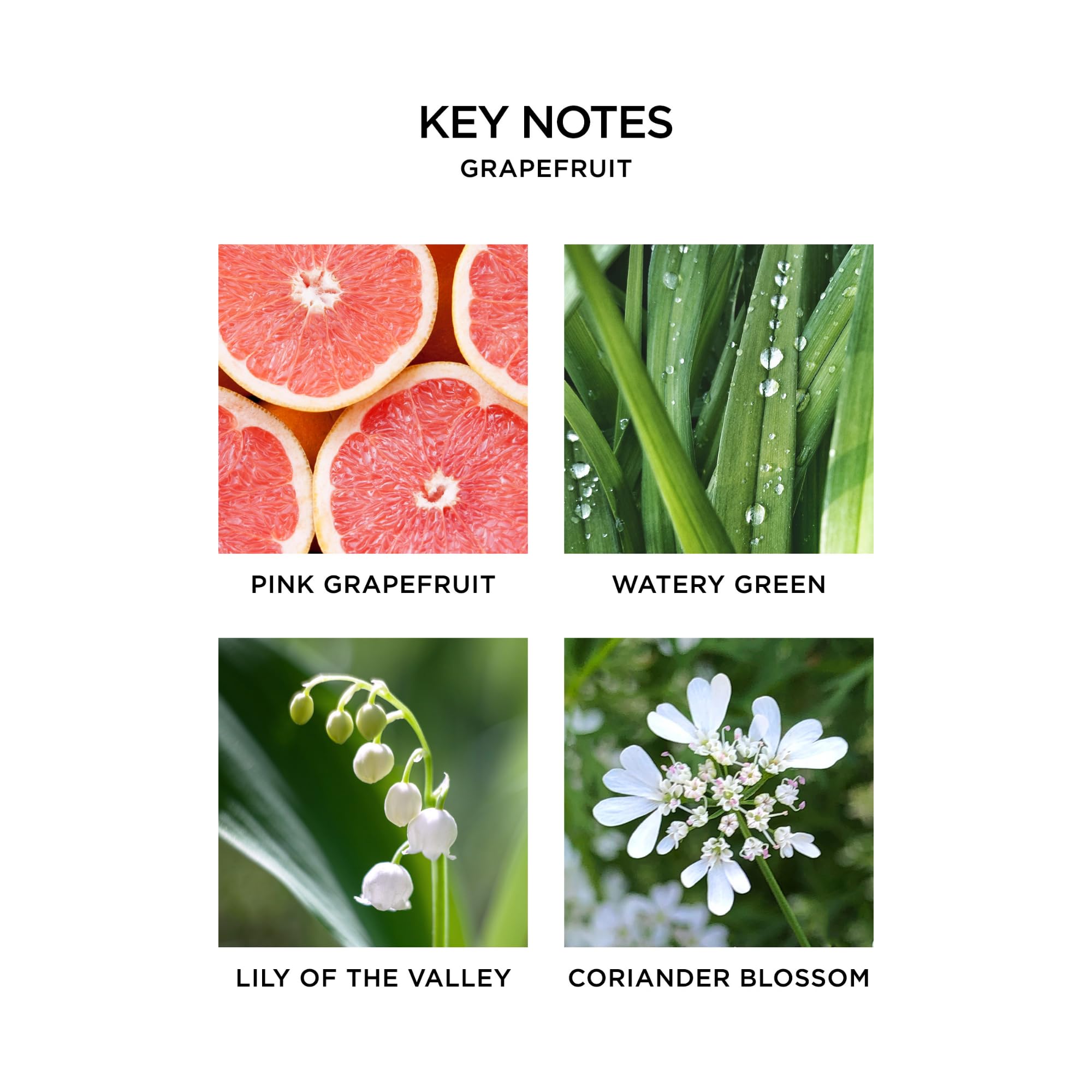 Foto 4 pulgar | Set De Velas Y Difusores Nest New York Grapefruit Scent - Venta Internacional.