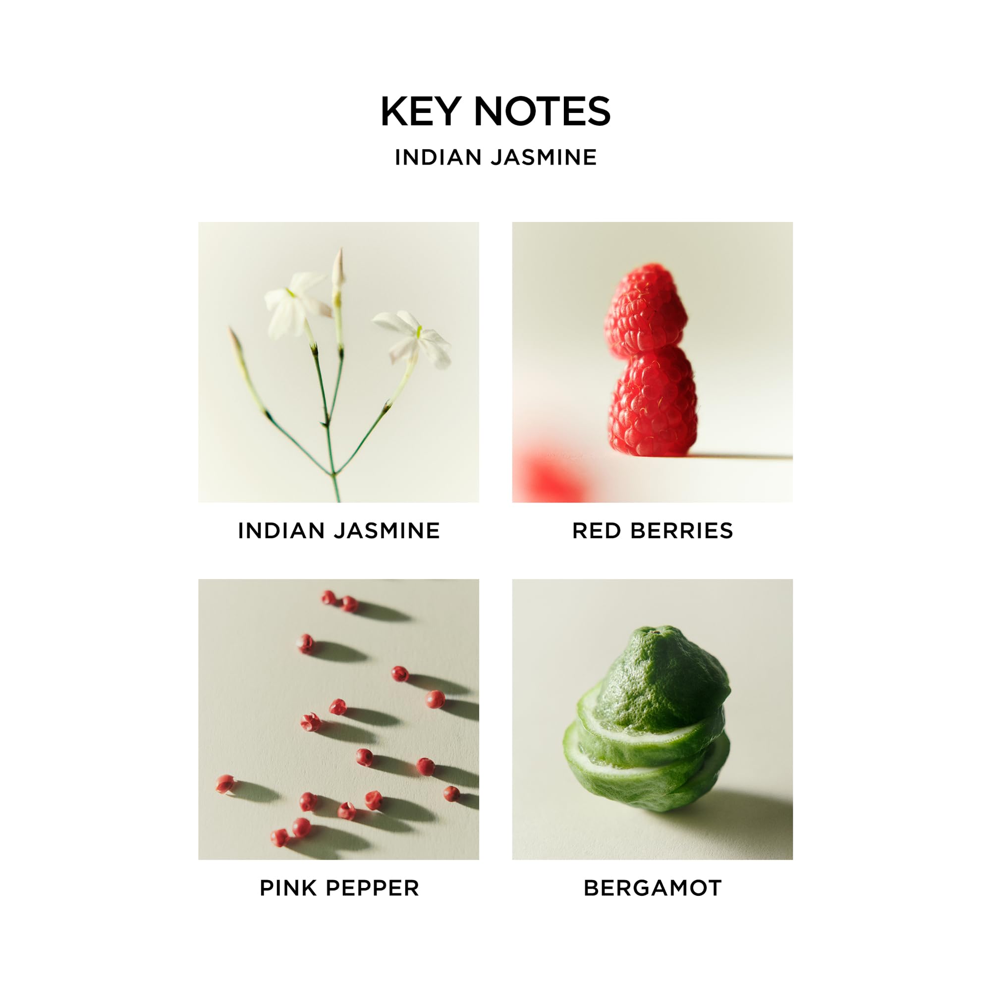 Foto 7 | Set De Velas Votivas Discovery Nest New York  6 Aromas  60 Ml - Venta Internacional.