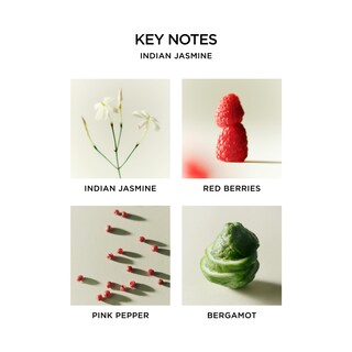 Foto 7 | Set De Velas Votivas Discovery Nest New York 6 Aromas 60 Ml - Venta Internacional.