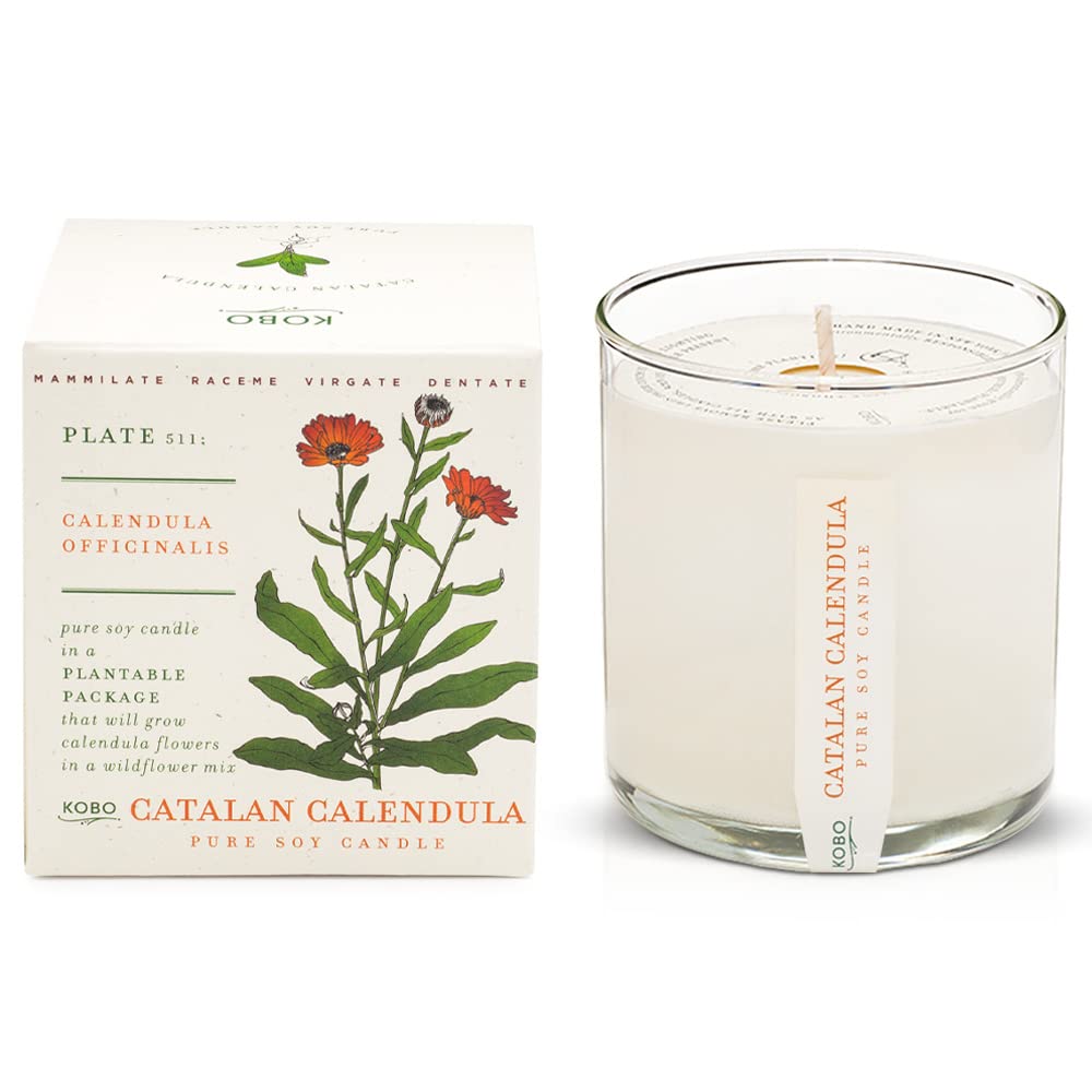 Foto 2 pulgar | Vela Aromática Kobo Catalan Calendula 265 Ml Con Caja Para Plantar - Venta Internacional.