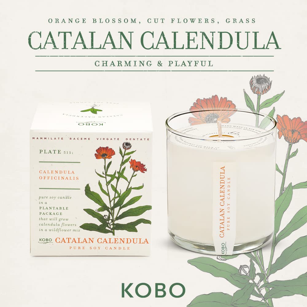 Foto 3 pulgar | Vela Aromática Kobo Catalan Calendula 265 Ml Con Caja Para Plantar - Venta Internacional.
