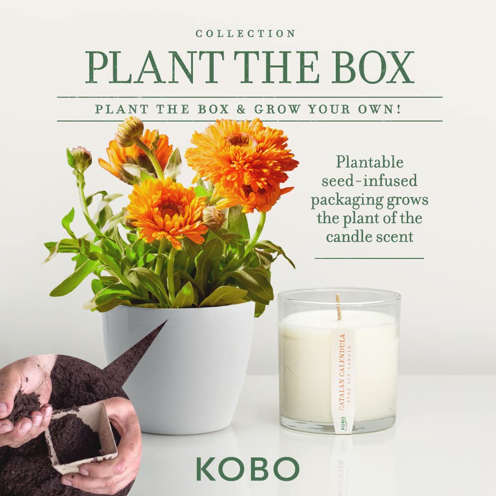 Foto 4 pulgar | Vela Aromática Kobo Catalan Calendula 265 Ml Con Caja Para Plantar - Venta Internacional.