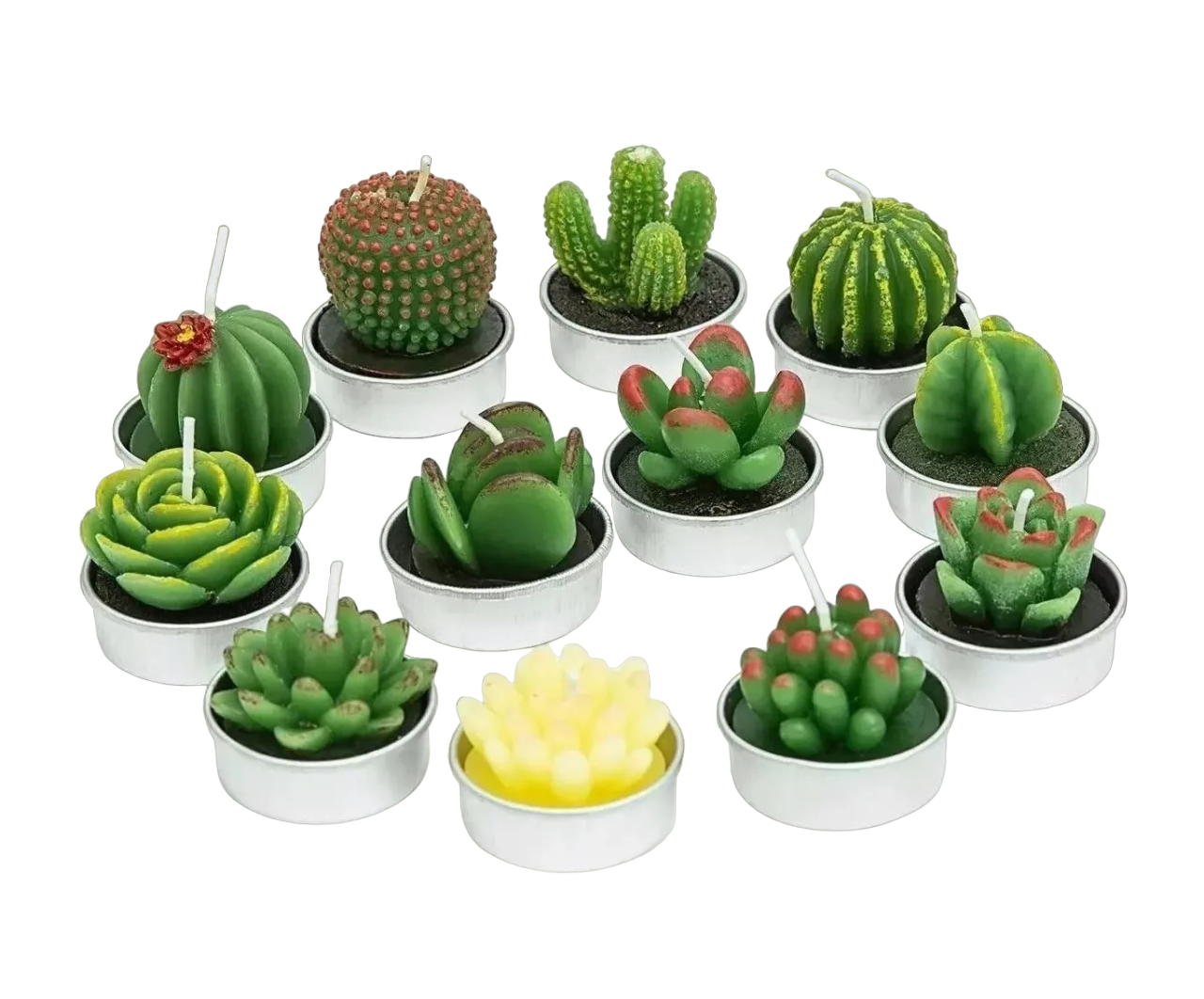 Foto 2 pulgar | Velas Decorativas Cactus y Suculenta BELUG Artificiales 12 Piezas