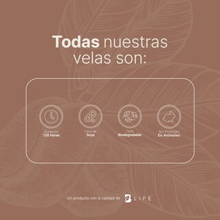 Foto 5 | Vela De Soya Aromática | 600 G | Aroma Café Recién Hecho | Duración 120 Horas | Coffee Time Aromatic Candle | B Life.