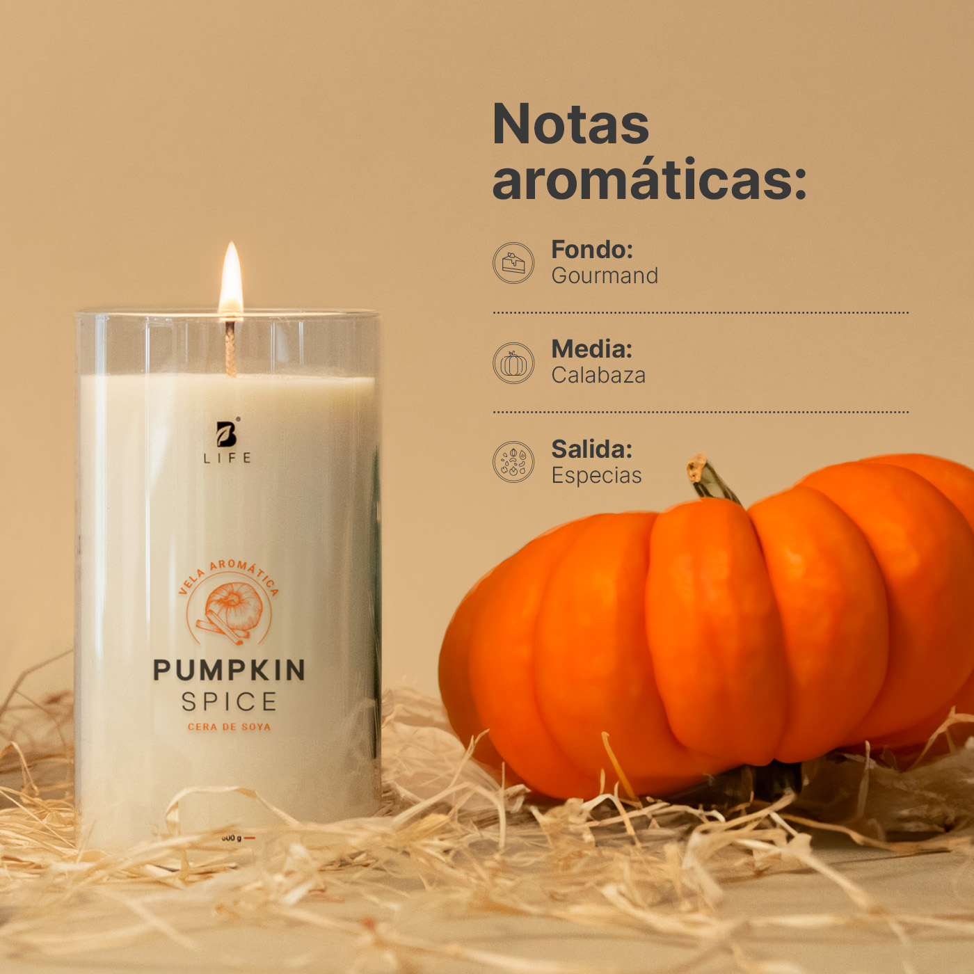 Foto 4 pulgar | Vela de Soya Aromática B Life 600 G Aroma Pumpkin Spice Duración 120 Horas