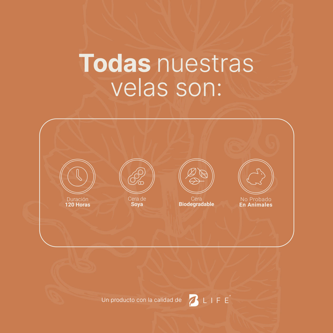 Foto 5 | Vela de Soya Aromática B Life 600 G Aroma Pumpkin Spice Duración 120 Horas
