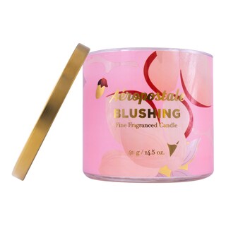 Foto 5 | Vela Aromática Aeropostale Blushing Soy Con Maracuyá 60h - Venta Internacional.