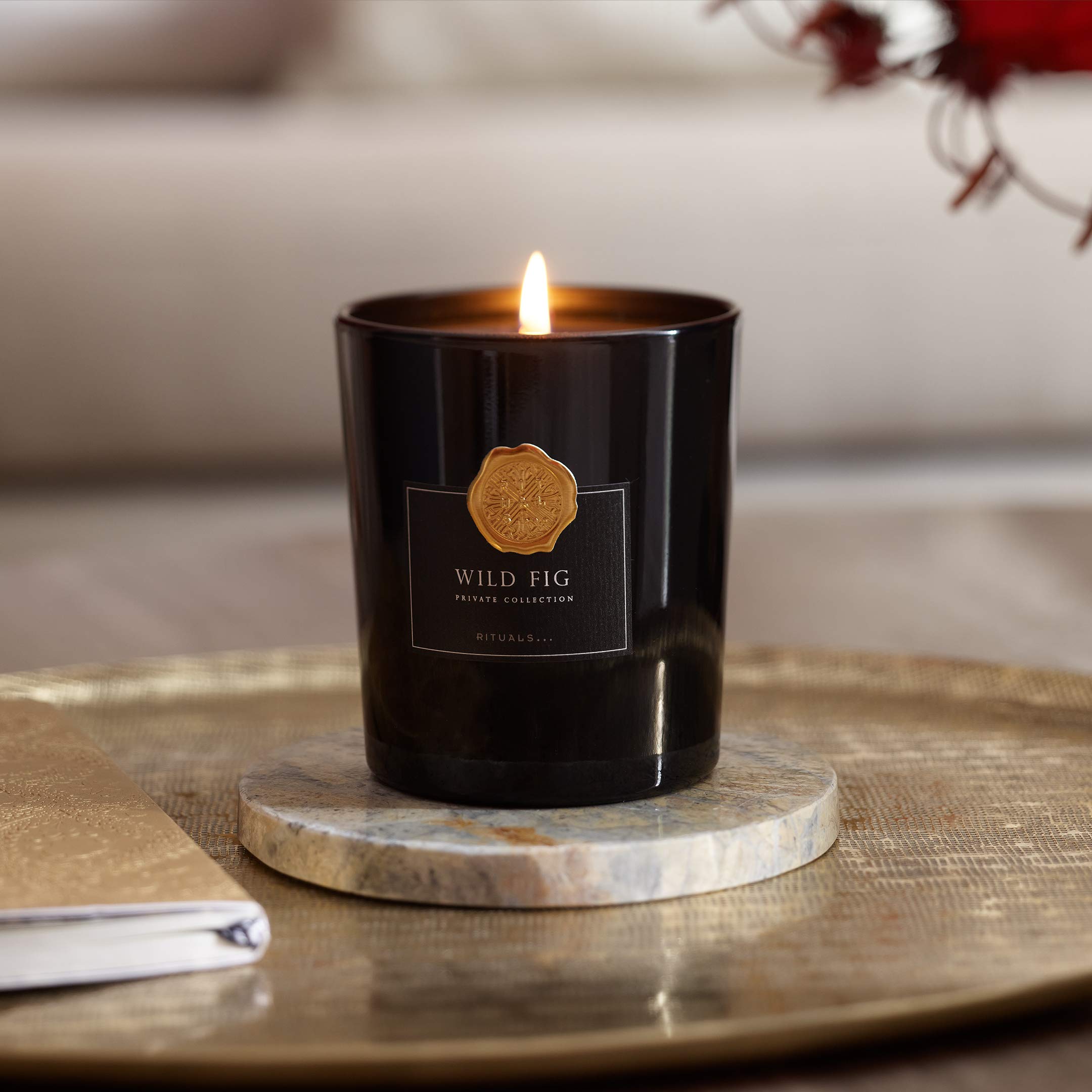 Foto 3 pulgar | Vela Aromática Rituals Wild Fig Luxury Home Decor 375 Ml - Venta Internacional.