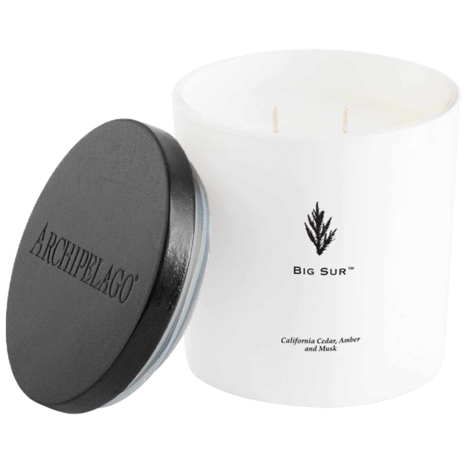Foto 2 pulgar | Vela Archipelago Botanicals Big Sur Luxe, 370 Ml, 100 H De Combustión - Venta Internacional.