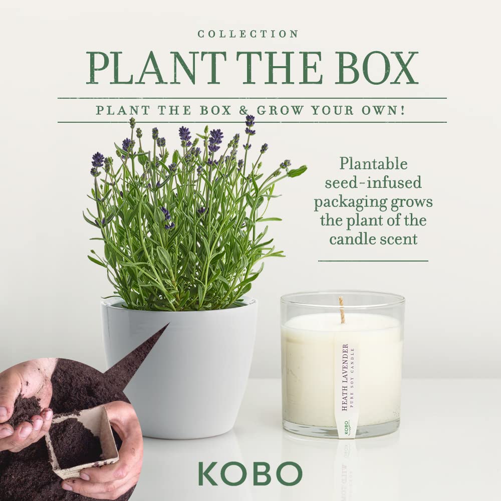 Foto 3 | Cela Kobo Heath Lavanda, 265 Ml, Cera De Soja 100% Pura, 60 Horas De Combustión - Venta Internacional.
