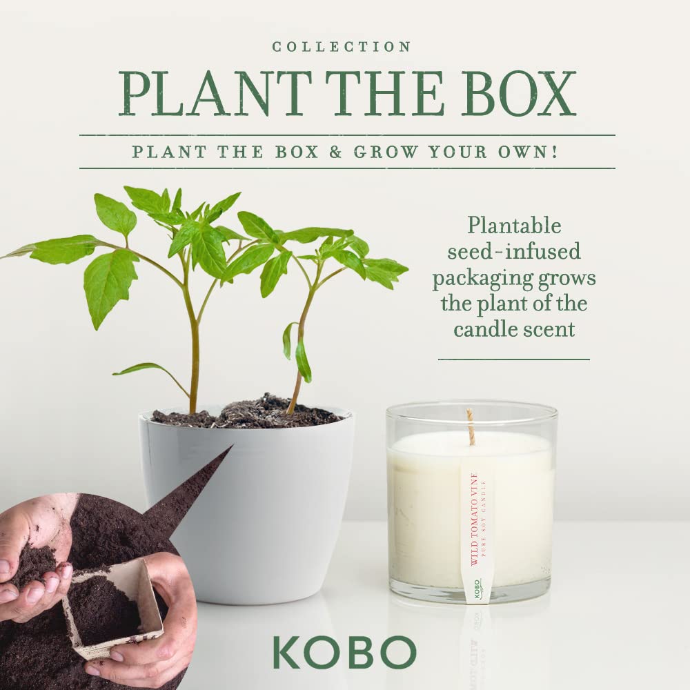 Foto 3 | Candle Kobo Wild Tomato Vine, 265 Ml, 60 Horas, Quema 100% Cera De Soja - Venta Internacional.