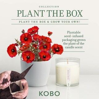 Foto 3 | Vela Aromática Kobo Siam Poppy 265 Ml Con Caja Para Plantar - Venta Internacional.