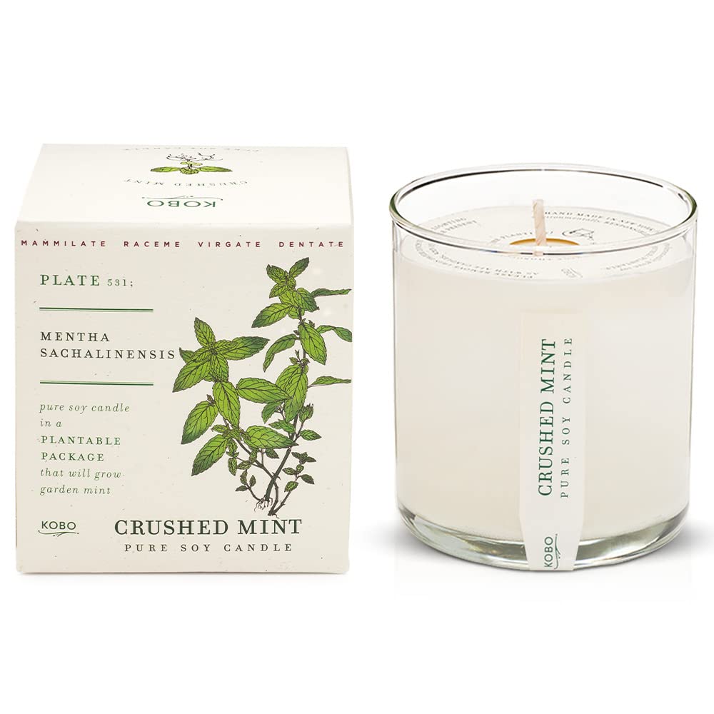Foto 1 | Vela Aromática Kobo, Menta Triturada, 265 Ml, Con Caja Para Plantar - Venta Internacional.