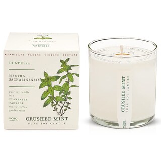 Foto 1 | Vela Aromática Kobo, Menta Triturada, 265 Ml, Con Caja Para Plantar - Venta Internacional.
