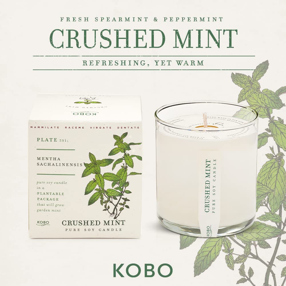 Foto 2 | Vela Aromática Kobo, Menta Triturada, 265 Ml, Con Caja Para Plantar - Venta Internacional.
