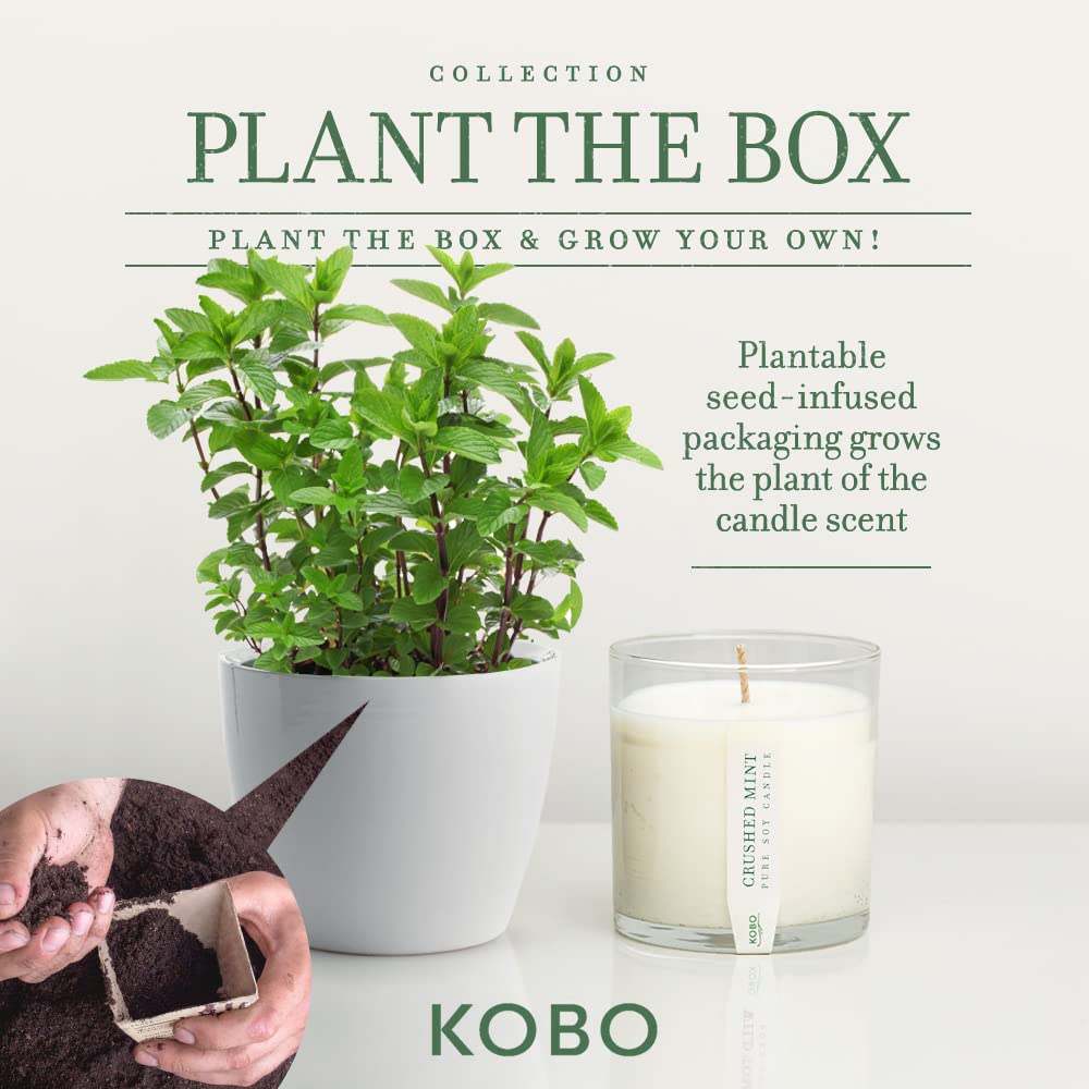 Foto 4 pulgar | Vela Aromática Kobo, Menta Triturada, 265 Ml, Con Caja Para Plantar - Venta Internacional.