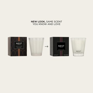 Foto 2 | Candle Nest New York Ámbar Marroquí 240 Ml Paquete De 2 - Venta Internacional.