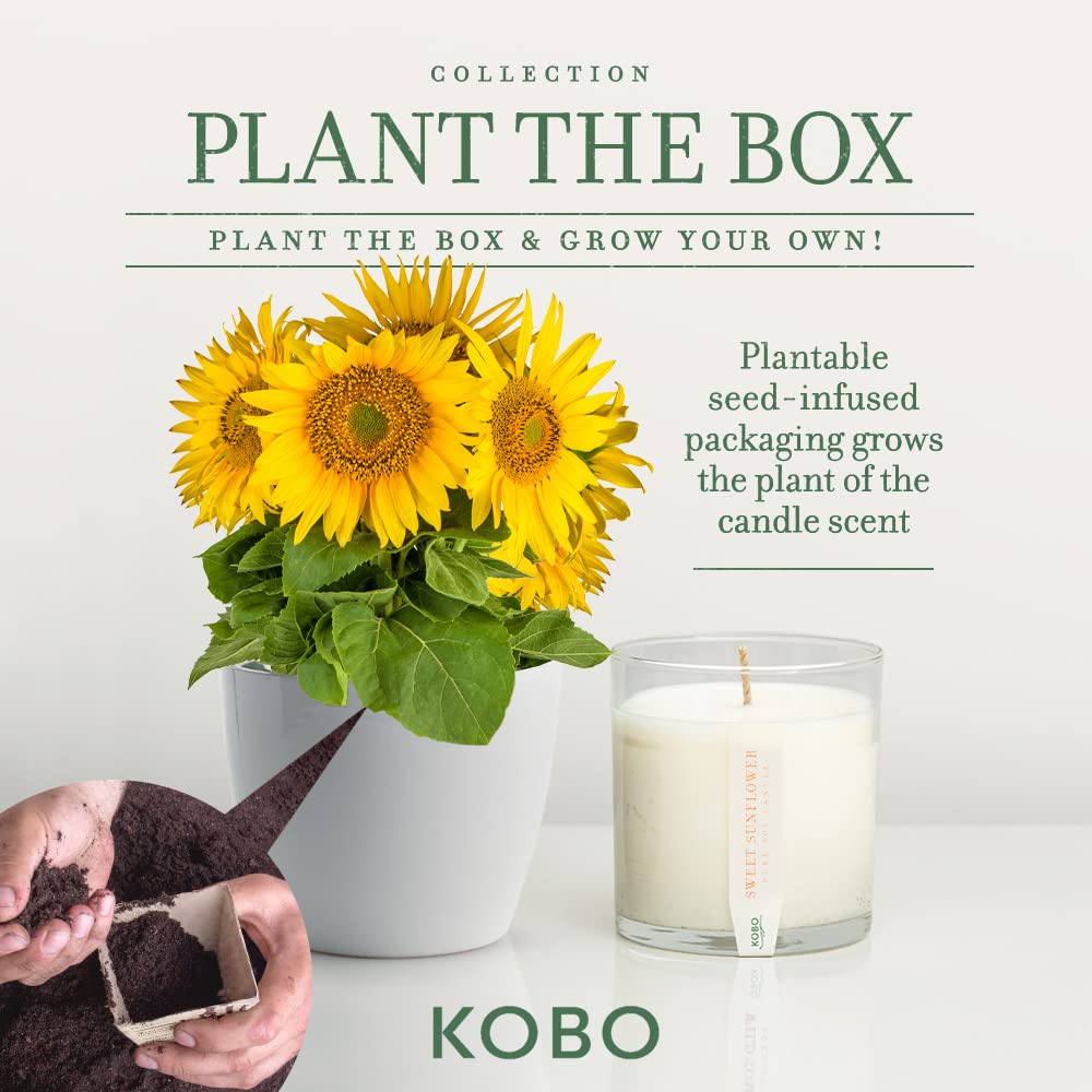 Foto 4 pulgar | Cela Kobo Sweet Sunflower  265 Ml  Cera De Soja 100% Pura  60 H De Combustión - Venta Internacional.