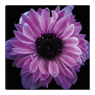 Foto 1 | Cuadro Decorativo - Cosecha De Anémona Morada - Elise Catterall - Arte Moderno - Impresión En Lienzo - Fine Art Tj