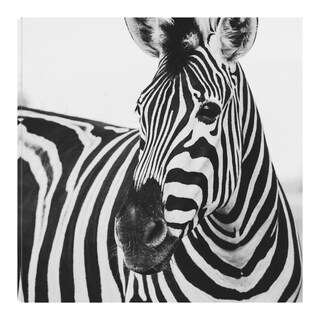 Foto 1 | Cuadro Decorativo - Cebra De Cerca - Fine Art Tj - Frida Bredesen - Arte Moderno - Impresión en Lienzo