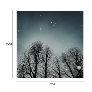 Foto 6 | Cuadro Decorativo - Cielo De Invierno - Fine Art Tj - Andre Eichman - Arte Moderno - Impresión en Lienzo