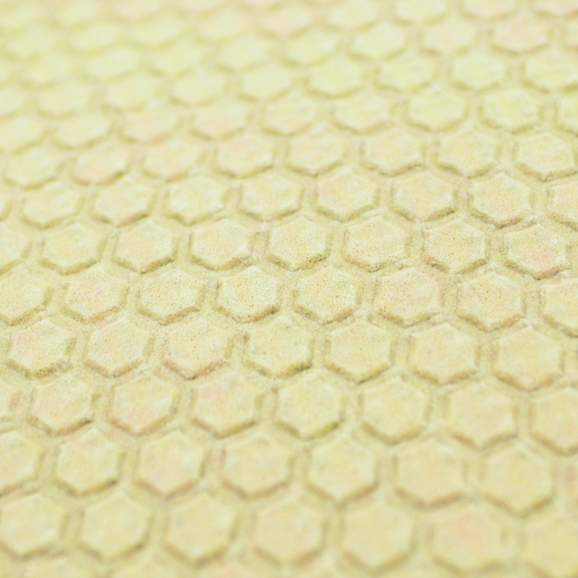 Foto 4 pulgar | Alfombra Fanmats Florida State Seminoles De 240 Cm X 300 Cm De Felpa - Venta Internacional.