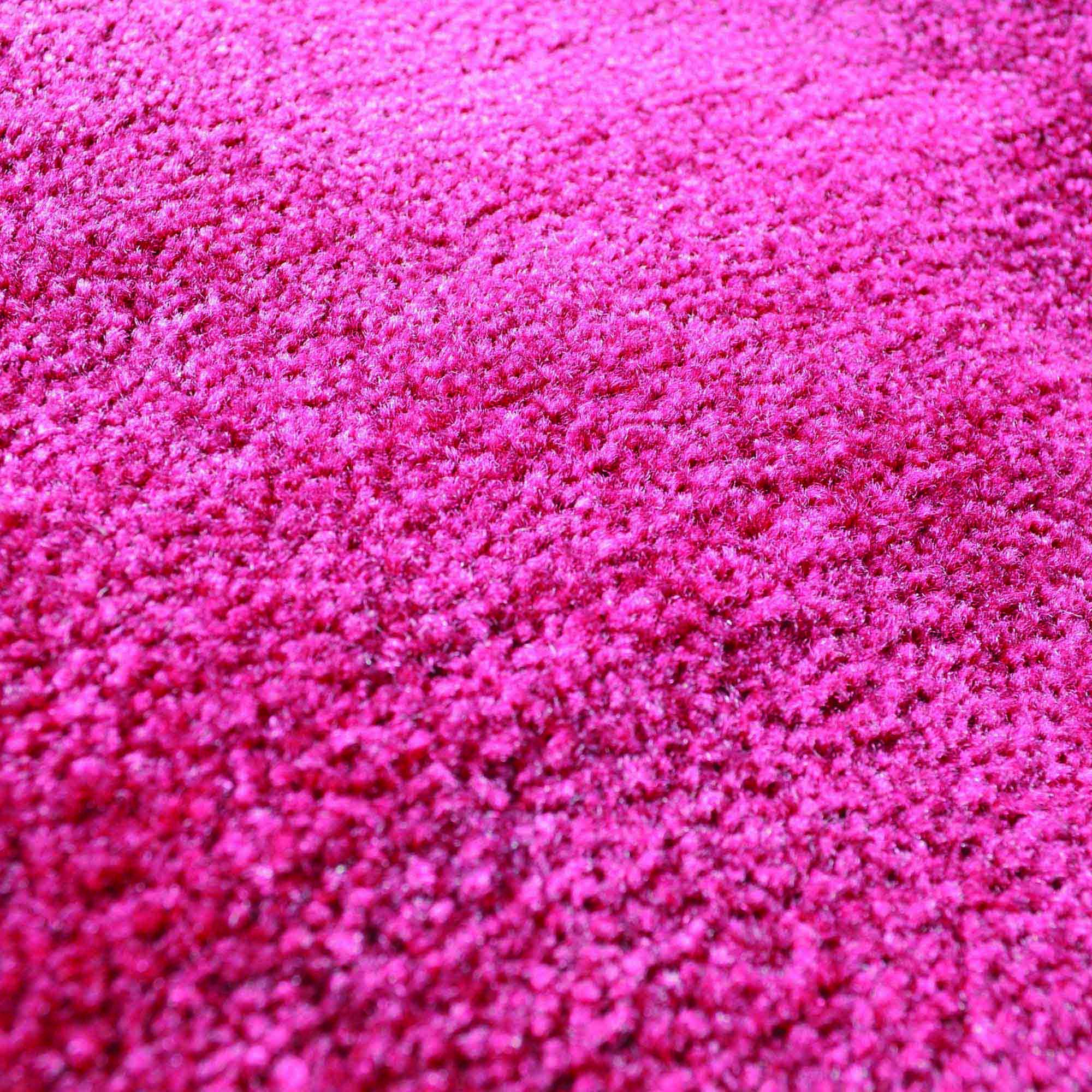 Foto 4 | Alfombra Fanmats Florida State Seminoles De 240 Cm X 300 Cm De Felpa - Venta Internacional.