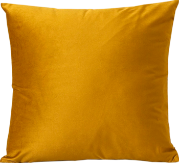 Foto 1 | Cojin Decorativo Velvet Mostza 45x45 Finder Decor