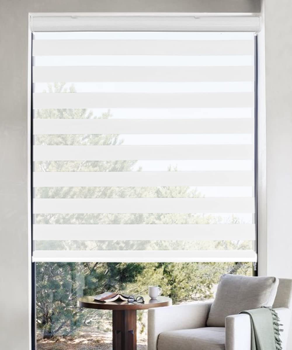 Sombrilla Enrollable Zebra Blinds Homebox Para Windows De 49 X 183 Cm - Venta Internacional.